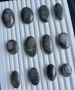 Hermoso Coral Fósil Negro 100% Natural, Cabujón de Piedra Preciosa Suelta, Excelente Accesorio de Joyería para la Fabricación de Colgantes y Anillos - Product Image 3