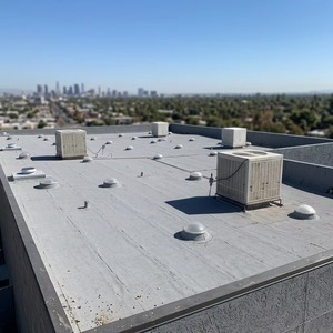 Túneles de Luz Solar de Alta Resistencia a la Intemperie y Duraderos, que Proporcionan hasta 200 LUX de Luz Natural de Calidad en Edificios Comerciales e Industriales - Product Image 6