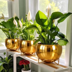 Pot de fleurs en métal doré artisanal avec support, décoration moderne pour plantes d'intérieur et d'extérieur, pour la maison, le bureau, le salon - Product Image 5