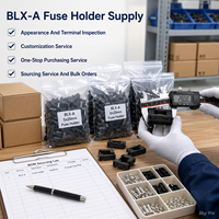 Support de fusible PCB BLX-A 5x20mm avec couvercle articulé 6.3A 250V, montage traversant pour fusible en verre ou en céramique