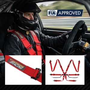 เข็มขัดนิรภัยสำหรับรถแข่ง Premium Motorsport TBRACING Sport Plus ได้รับการรับรองจาก FIA แบบ OEM ODM พร้อมดีไซน์หัวเข็มขัดรูปตัว T ตามหลักสรีรศาสตร์ - Product Image 1