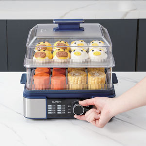 Vaporera Eléctrica Automática con Función para Mantener el Calor y Control Digital, Sunsir OEM/ODM - Product Image 1