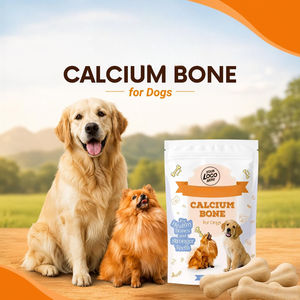 Friandises pour chiens en forme d'os au calcium biologique, à mâcher, vente en gros d'usine, OEM, marque privée, pour la santé dentaire et osseuse durable - Product Image 5