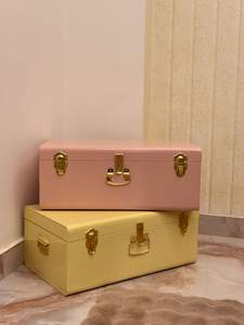 Coffre de rangement moderne et élégant, coffre robuste à utiliser pour la maison, le jardin, la ferme, la chambre à coucher, le salon, la chambre d'amis, etc. - Product Image 2