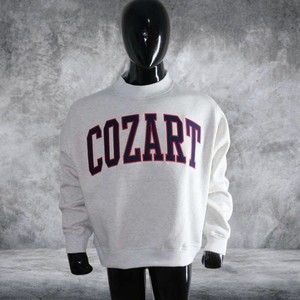 เสื้อสเวตเชิ้ตคอเต่าโอเวอร์ไซส์สำหรับผู้หญิง Cozart ผลิตจากผ้าฝ้ายหนานุ่ม สไตล์สตรีทแวร์ รับผลิตแบบ OEM สำหรับแบรนด์ส่วนตัว - Product Image 1