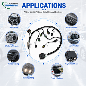 Rangkaian Kabel Kabin Kustom, Kontrol Bodi, Perakitan Kabel Listrik Interior OEM - Product Image 2