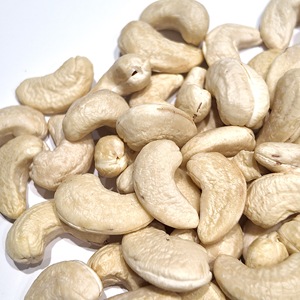 Cambodia Origin W240 White Cashew Kernels Selected Grade Halal Approved for Wholesale Distribution and Healthy Snack Industry - Product Image 2