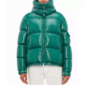 Winter 2026 Collection Functional Canvas Stand Collar Anti-Bacterial Casual Cotton-padded Hooded Men's Puffer <b>Jacket</b> - Product Image 6