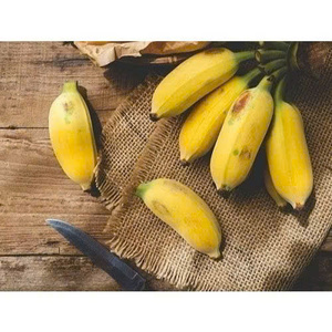 Plátano Seco Natural de Vietnam, Dulce y Masticable, Snack de Fruta Saludable, Venta al por Mayor, Exportación, Empaque Estándar - Product Image 4