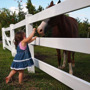 Cercas de PVC para Arena de Caballos, Impermeables y Resistentes a la Putrefacción, Cercas Flexibles para Jardín, Cercas de PVC para Caballos - Product Image 4