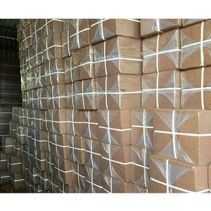 Bloc de tourbe de coco basse EC 5kg pour plantes en croissance Blocs de tourbe de coco - Product Image 4