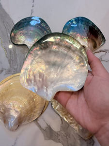 PLAT EN COQUILLE POLI 15-30CM |   Perle brillante 100% naturelle rose, noire et jaune |   PLAQUE À LUSTRE RAINBOW MULTICOLORE - Product Image 3