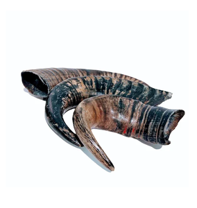 Cuerno Decorativo de Búfalo, Decoración Moderna para Pared de Sala de Estar, Superventas, Excelente Calidad, Par de Piezas de Cuerno de Búfalo - Product Image 1