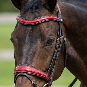 Bridon de luxe en cuir anatomique pour cheval, orange, avec embossage crocodile, fronture ondulée et ferrures en acier inoxydable de haute qualité - Product Image 5