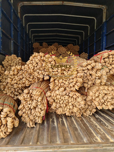 Fabricante Cuerda de jacinto de agua trenzada Materia prima Trenza Jacinto de agua seca 100% natural de Vietnam - Product Image 2