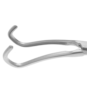 Pinces à tissus Allis en acier inoxydable, pinces chirurgicales à cliquet manuelles, pince de maintien des tissus, instrument de chirurgie générale - Product Image 6