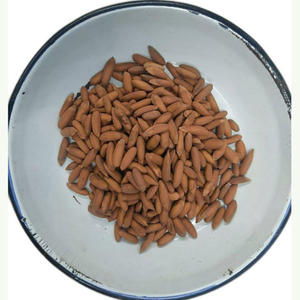 Pignons de pin 100% naturels de qualité supérieure, les plus vendus, de qualité alimentaire - Product Image 1