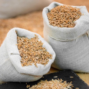 Grains de blé biologiques avec livraison rapide, blé doux doré de qualité avec un taux élevé de gluten, achat en gros au meilleur prix - Product Image 5