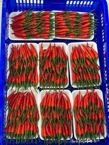 พริกแดงเผ็ดร้อนแช่แข็ง IQF คุณภาพพรีเมียม - Product Image 3