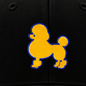 Gorra trucker personalizada para mujer de la hermandad griega Sigma Gamma Rho, con logo bordado, gorra de béisbol de malla ajustable con cierre snapback - Product Image 6