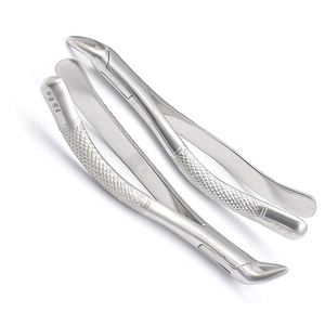 Spécialistes en soins dentaires, les forceps dentaires utilisés pour l'extraction des dents offrent une forte adhérence et des performances cohérentes en clinique. - Product Image 1