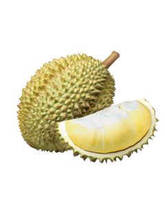 DURIAN VIETNAMITA LIOFILIZADO, EN REBRODOS, LISTO PARA COMER, SE PUEDE GUARDAR POR 24 MESES, SABOR ORIGINAL. - Product Image 2