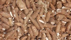 กากมันสำปะหลังหรือกากมันหวานอัดเม็ดสำหรับสัตว์/ปศุสัตว์ - Product Image 2