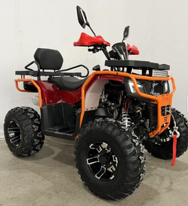 Quad ATV automatique avec moteur CVT 200cc, nouveau design, homologué CE - Product Image 1