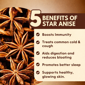 โป๊ยกั๊กสตาร์อะไนซ์ราคาถูกที่สุด / โป๊ยกั๊กสตาร์อะไนซ์เก็บเกี่ยวฤดูใบไม้ร่วงจากเวียดนาม / คุณอลีนา - Product Image 4