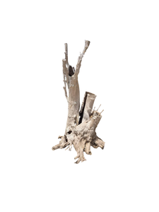 Ornement d'aquarium unique en bois flotté naturel de grande taille, forme irrégulière, durable, décoration de bac à poissons fabriquée au Vietnam - Product Image 1
