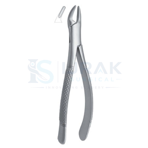 Pinzas de Extracción Dental de Acero Inoxidable, Pinzas Manuales para Dientes con Empuñadura Moleteada, Garra Quirúrgica para Uso Clínico - Product Image 5
