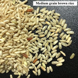RIZ BRUN [Qualité A] Dur séché - Product Image 4