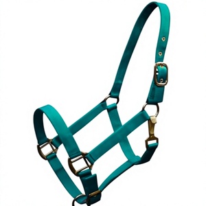Harnais de cheval en nylon vert réglable avec fermeture à boucle, équipement d'équitation pour l'entraînement - Product Image 3
