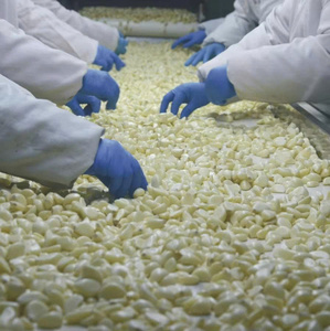 Ajo Congelado Pelado IQF 1kg, Empaque a Granel, Grado de Exportación, Origen Vietnam, 99 GOLD DATA - Product Image 2