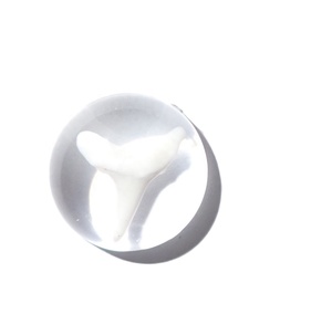 Cabujón de plástico con diente de tiburón auténtico, redondo, 19x19 mm, transparente, base plana, moderno, para el Día de la Tierra, para manualidades y fabricación de joyas - Product Image 4