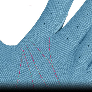 Guantes de Béisbol para Equipos Adultos, Color Azul Cielo, con Agarre en la Palma y Control de Humedad, para Práctica Diaria de Bateo - Product Image 5