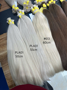 Extensiones de Cabello Humano Virgen 100% de Vietnam, Color Claro, Venta al por Mayor, Envío a Todo el Mundo, Embalaje Incluido - Product Image 1