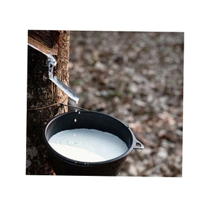 Látex de caucho natural blanco premium 100% puro líquido para la producción de guantes, fabricación de globos y exportación de adhesivos - Product Image 1