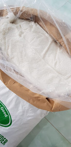 Vietnam Dried Coconut Powder <b>Sweet</b> Taste Bulk <b>Packaging</b> HACCP ISO Certified Best Quality Competitive Price Export Quality - Product Image 3