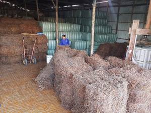 Promoción de precio caliente Deliciosa gelatina de hierba seca con sabor interesante Hecho en Vietnam por 99 Gold Data - Product Image 5