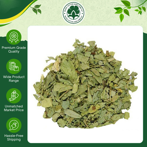 Extracto Herbal de Calidad de Exportación, Condimento y Especias, Hojas de Senna Secas 100% Puras a Bajo Precio - Product Image 6