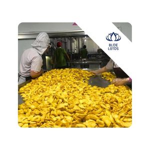 MEILLEUR PRIX Blue Lotus 2026 Snack de Jackfruit Séché FD Végétalien Mélangé, Faible en Calories, Riche en Fibres, Croustillant, Naturellement Sucré, Énergétique, en Tranches - Product Image 1