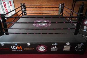 Boxing Ring Canvas Mat UFC TNA MMA Cage Cover for Wrestling and Boxing High Quality Product Customize OEM Boxing Canvas - Product Image 6