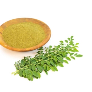 ผงใบมะรุมธรรมชาติ พรีเมียม ซูเปอร์ฟู้ดสีเขียว ปริมาณมาก ขายส่ง สำหรับการผลิตอาหารเสริม - Product Image 2