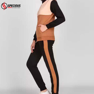 Conjunto Deportivo de 2 Piezas para Mujer, con Capucha, Talla Grande, Diseño 2026, Logotipo Personalizado, Informal, Ecológico, 100% Algodón - Product Image 3