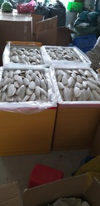 Natural Cuttlebone Mineral Chew <b>Toy</b> with Vitamin D3 Grain-Free <b>for</b> Cage Birds Ferrets & More-Beak Maintenance - Product Image 1