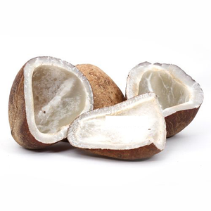 เนื้อมะพร้าวอบแห้งคุณภาพพรีเมียมสำหรับการสกัดน้ำมันมะพร้าว - Product Image 1
