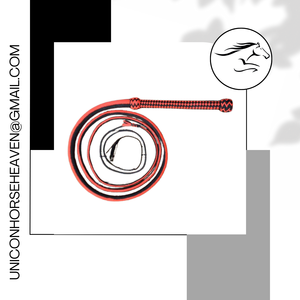 ROYAL INTRNATIONAL Fouet de combat en cuir véritable pour Halloween avec manche en bois, design marron, sur mesure - Product Image 3