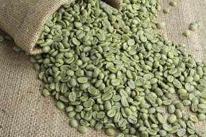 เมล็ดกาแฟอาราบิก้าออร์แกนิกคุณภาพสูง ไม่ใช่พืช GMO ผลิตจากเวียดนาม IIGLOBAL FARM เกรด S16 24 ระดับความสุก สารสกัดกาแฟแบบขายส่ง - Product Image 3
