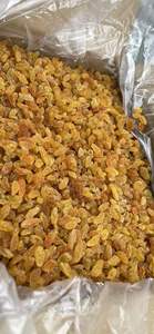 Uva seca de pasas, fruta de uva seca natural, sin productos químicos incluidos, precio muy barato para compradores mayoristas de todo el mundo por 99 Gold - Product Image 2